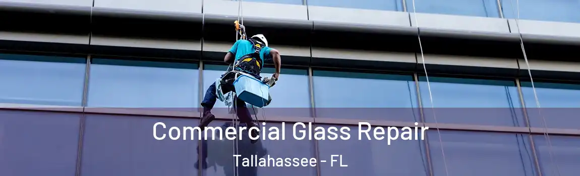 Commercial Glass Repair Tallahassee - FL