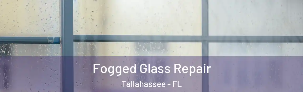 Fogged Glass Repair Tallahassee - FL
