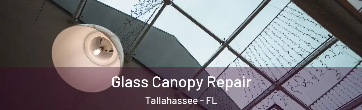 Glass Canopy Repair Tallahassee - FL