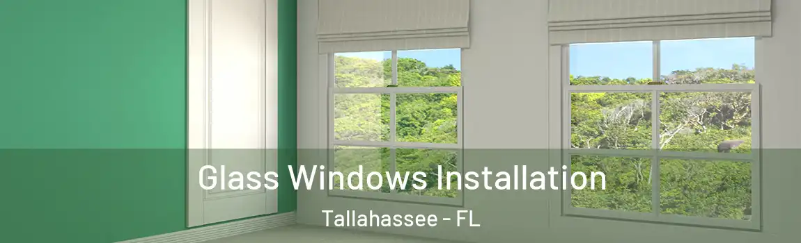  Glass Windows Installation Tallahassee - FL