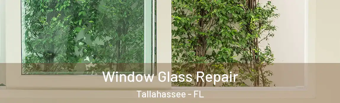  Window Glass Repair Tallahassee - FL