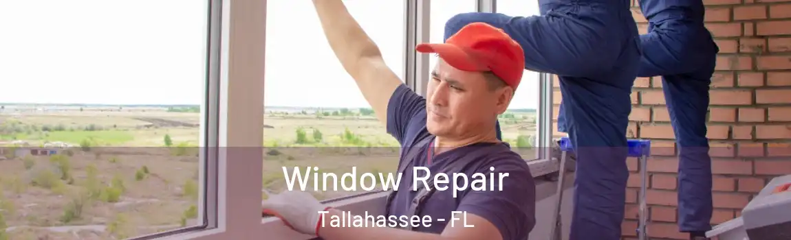  Window Repair Tallahassee - FL