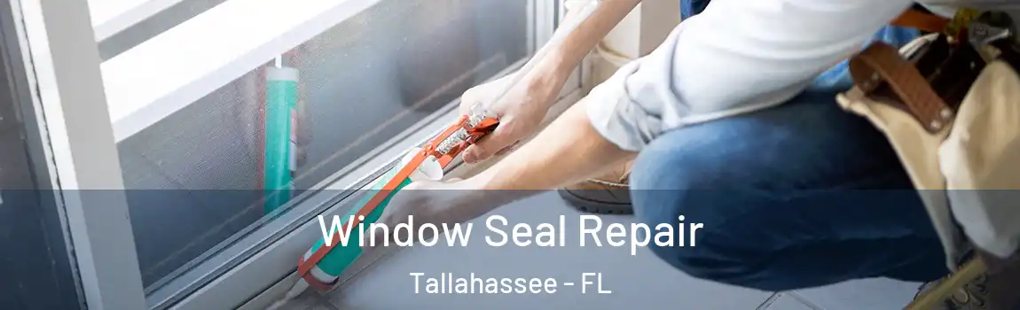  Window Seal Repair Tallahassee - FL